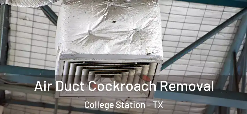 Air Duct Cockroach Removal College Station - TX