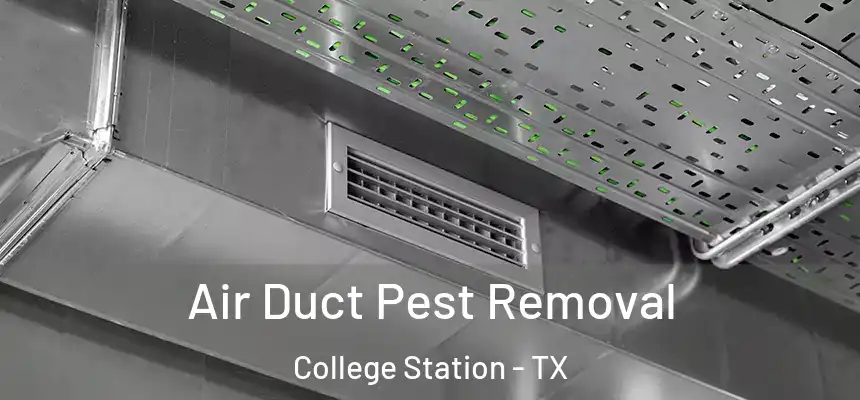 Air Duct Pest Removal College Station - TX