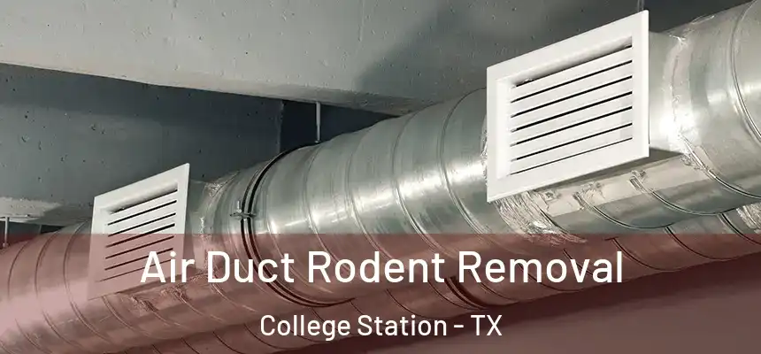 Air Duct Rodent Removal College Station - TX