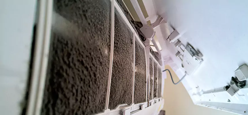 Preventive Air Duct Bacteria Removal in College Station