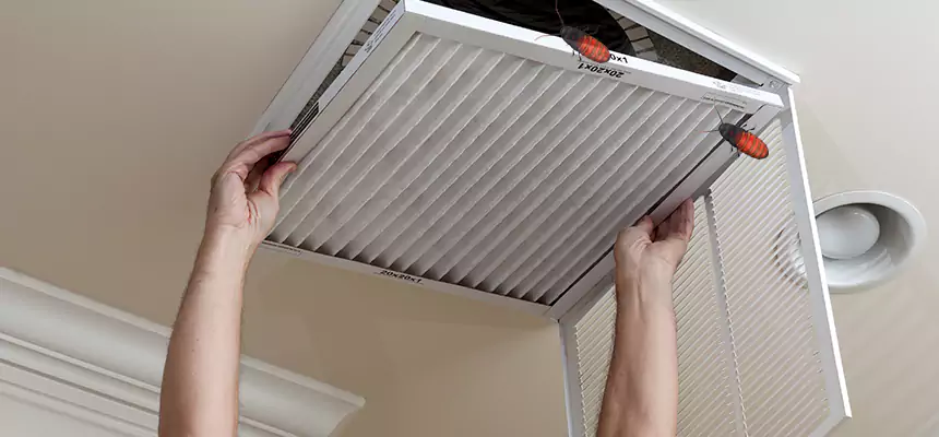 Preventive Cockroach-Proofing for Ducts in College Station