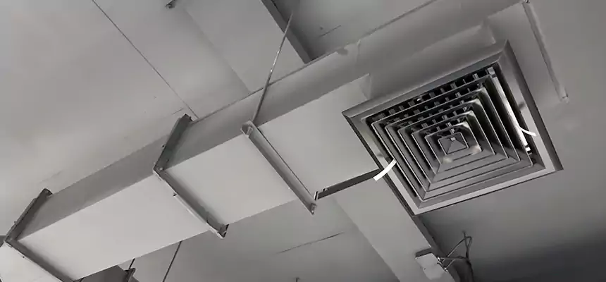 Our Rodent Droppings In Vents Services in College Station, TX