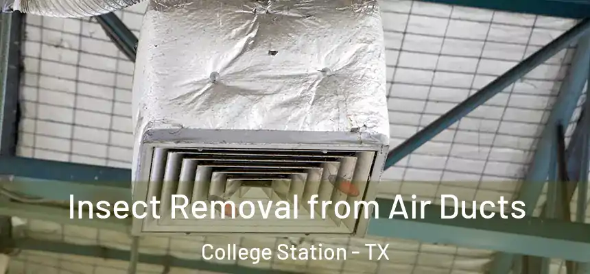 Insect Removal from Air Ducts College Station - TX