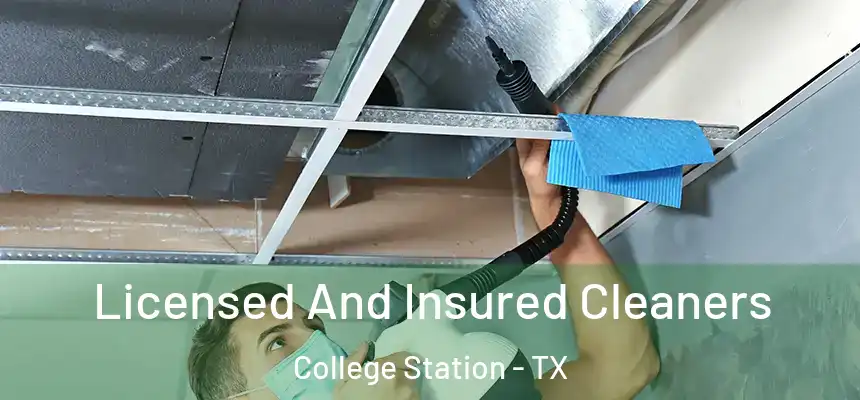 Licensed And Insured Cleaners College Station - TX