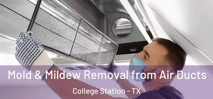 Mold & Mildew Removal from Air Ducts College Station - TX