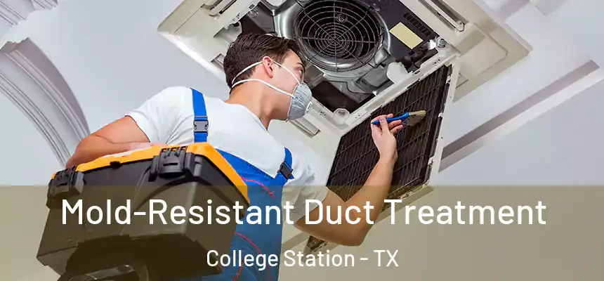 Mold-Resistant Duct Treatment College Station - TX