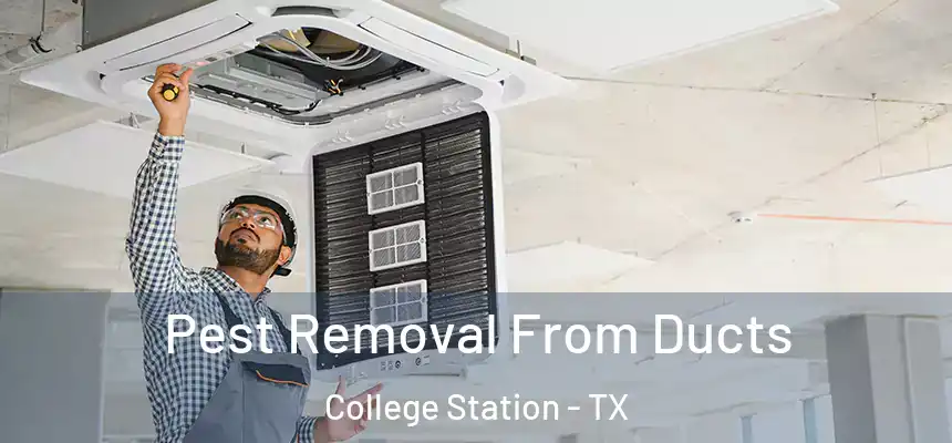 Pest Removal From Ducts College Station - TX
