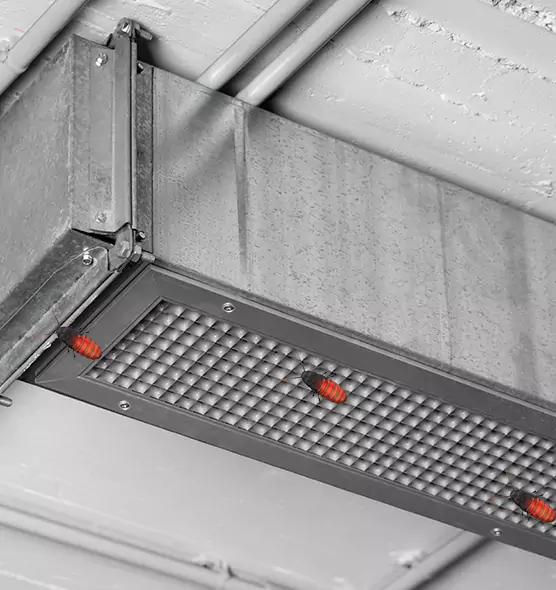 About Air Duct Cockroach Removal in College Station, TX