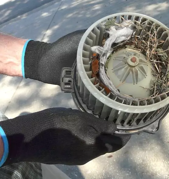 About Air Duct Rat Removal in College Station, TX