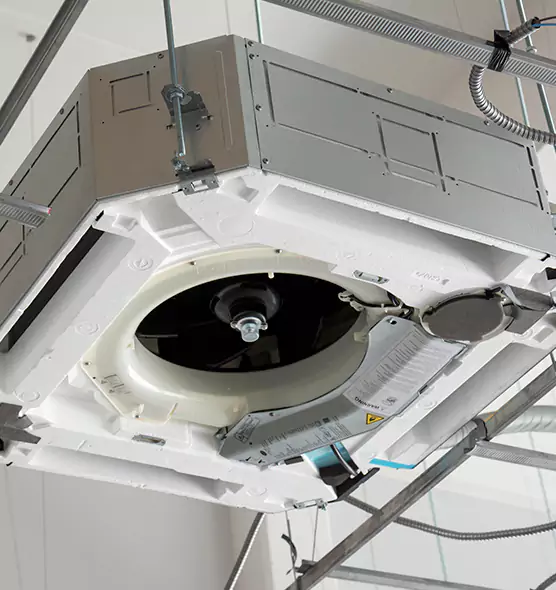 Professional Roof Vent Lint Removal College Station, TX