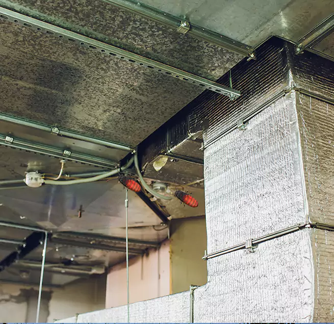 Why Homeowners & Businesses Trust Us in College Station, TX?