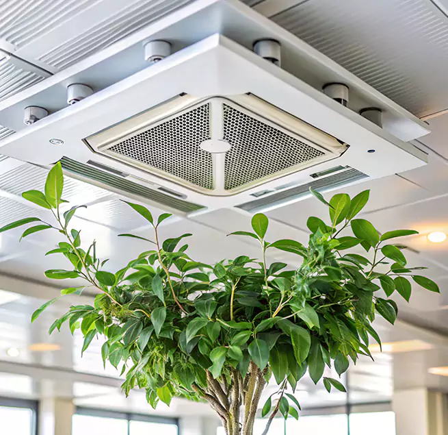 Why Homeowners & Businesses Trust Us in College Station, TX?